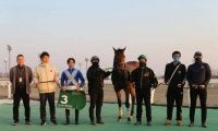 5頭の無敗馬が共演 スターホースへの登竜門/大井・ゴールドジュニア注目馬