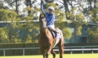 秋GI開幕戦 春のスプリント王、昨年の3歳マイル王者、重賞6勝牝馬など快速自慢が集結/スプリンターズS想定
