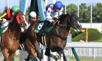 秋のダートGIに向けて実力馬が多数集結 昨年の覇者、有力3歳馬、マルシュロレーヌ半弟など/シリウスS想定