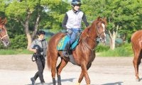母は米G1勝ち馬、フェザーモチーフがデビュー/関東馬メイクデビュー情報