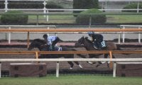 2億超の高額馬ダノンタッチダウンが始動 半兄はGI馬ダノンザキッド/関西馬メイクデビュー情報