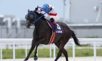 【名古屋・秋の鞍結果】高知のアンティキティラが押し切って重賞3勝目