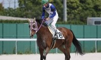 ウオッカと同期の18歳馬が名古屋競馬に登場 国内最高齢出走記録を更新