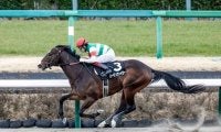 【シリウスS出走馬・騎手確定】バーデンヴァイラー＆福永祐一騎手、ハピ＆横山典弘騎手など16頭
