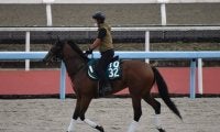 【JRA新馬戦】ダノンザキッドの半弟ダノンタッチダウンなどがデビュー