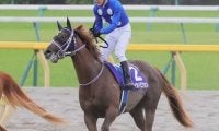 高速決着が想定されるスプリンターズＳ。波乱の使者となるのは「インからイン」を突ける馬