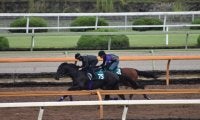 シュヴァルグランなど兄・姉にGI馬3頭 良血馬グランヴィノスが始動/関西馬メイクデビュー情報