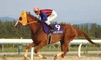 重賞13勝のハクサンアマゾネスが強力中央馬に挑む/金沢・白山大賞典注目馬