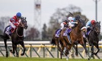 競馬ファンが選ぶ史上最高の『名勝負』JRAアンケート結果が発表 障害戦も上位にランクイン