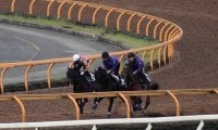 母は8戦無敗で仏G1を2勝 ルモンドブリエが初陣/関西馬メイクデビュー情報/関西馬メイクデビュー情報