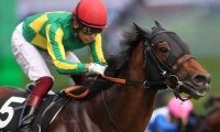 GI馬としのぎを削った名脇役がターフを去る 脚部不安で復帰叶わず