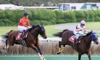 【東京ハイジャンプ】ゼノヴァースが障害重賞初制覇！オジュウチョウサンは敗れる