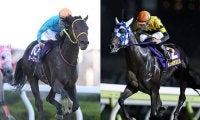 3連覇を狙う古豪タービランスと4連勝中のランリョウオー 軍配はどちらに/浦和・埼玉新聞栄冠賞注目馬