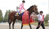 交流重賞2勝馬がJBCクラシックを見送り 注目3歳馬に繰り上がりの可能性