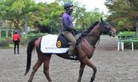 世界的良血のアイリッシュパールがデビュー 近親には海外G1勝ち馬が多数/関東馬メイクデビュー情報