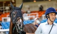 【アルテミスS展望】2歳牝馬の出世レース、差し追い込みが決まりやすい