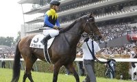 総賞金6億円超え！ダービー馬マカヒキの長きにわたる活躍をプレイバック