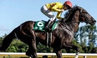 天皇賞秋に出走する15頭の馬名意味・香港馬名を紹介！ 『北橋』『傾城猛火』はどの馬？