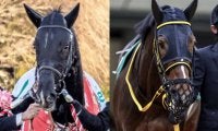 昨年末にGI制した3歳馬が古馬と初対決 アルゼンチン共和国杯の出走想定馬21頭