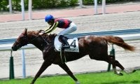 GI・4勝をあげた名牝の全弟がダートで初勝利 後続に2馬身差の快勝