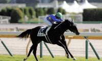 【新馬/東京4R】エピファネイア産駒 ルミノメテオールがデビューV