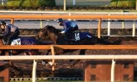 シルバーステート産駒のセッションが松山弘平騎手でデビュー/関西馬メイクデビュー情報