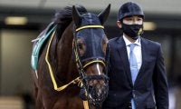 【アルゼンチン共和国杯出走馬・騎手確定】テーオーロイヤル＆菱田裕二騎手、キラーアビリティ＆C.デムーロ騎手など18頭