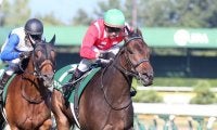 夏の新潟競馬リーディングジョッキーは、戸崎圭太騎手！