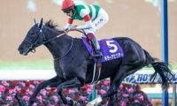 【アルゼンチン共和国杯】出走馬の弟がレース前日に次々勝利！ 兄たちは弟の勝利に続けるか