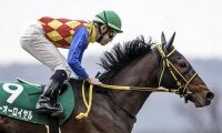 【アルゼンチン共和国杯前日オッズ】テーオーロイヤルが3.9倍で1番人気
