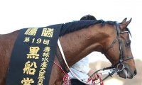  2017年の黒船賞覇者が予後不良に 高知けいばの見習い誘導馬としても活躍