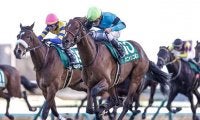 【福島記念想定騎手】オニャンコポンは菅原明良騎手、アラタは大野拓弥騎手