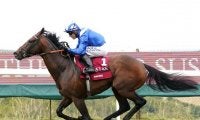 バーイードが欧州年度代表馬に！ 最優秀3歳牡馬は仏ダービー馬のヴァデニ