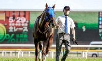 【武蔵野S枠順確定】レモンポップは4枠7番、タガノビューティーは5枠9番