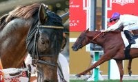 海外から強豪馬6頭が参戦予定 日本ダービー馬シャフリヤールなどジャパンカップ出走想定馬17頭