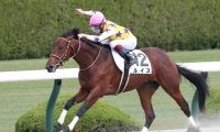 【新馬/阪神4R】ルイスが3馬身半差V！軽快なスピードで逃げ切る