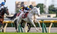 【マイルCS見どころ】ソダシがサリオス、シュネルマイスターら牡馬一線級と初対決