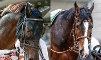 ダノンベルーガがレーティング2位で出走可能に ジャパンカップ登録馬のレーティング一覧