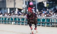 【兵庫CS】戸崎「久々の影響あったかも」無敗馬ドライスタウトは4着