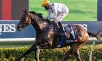 16連勝達成の「香港最強馬」がターフに帰還 20日の香港G2で始動戦予定