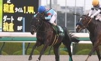 マイルCSは有力３歳馬２頭でなく、荒れ馬場でも力を発揮できる人気薄の３歳馬２頭に要注意