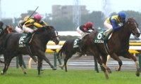 エアスピネルが競走馬登録抹消