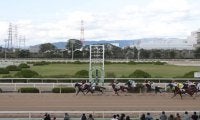 【園田・兵庫ジュニアGP結果】オマツリオトコが4馬身差圧勝、人気のトレドは競走中止