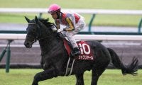 【ジャパンC】出走馬の調教後の馬体重