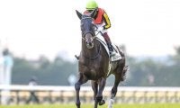 【ジャパンC 調教後馬体重】シャフリヤールは462kg、ダノンベルーガは498kg