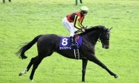 【ジャパンC】シャフリヤールは7枠15番