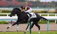【新馬/阪神5R】モーリス産駒クファシルがデビューVで、良血馬対決を制する