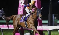 昨年はステッキ一発でGI馬らに圧勝 2021年JRA最優秀ダートホースがチャンピオンズCに出走