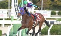 【園田金盃結果】ラッキードリームが6馬身差V、ジンギは2着で3連覇ならず