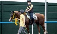 【香港国際競走】ジャックドール、パンサラッサなど栗東所属馬8頭が香港に到着